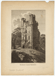 Image ID 834842