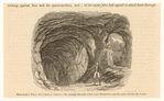 Image ID 834889