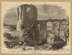 Image ID 834912