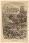 Image ID 834921