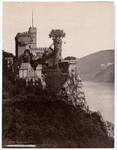 Image ID 835003