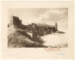 Image ID 835028