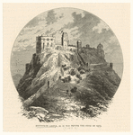 Image ID 835035