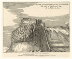 Image ID 835036