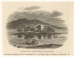 Image ID 835055