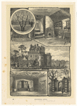 Image ID 835057