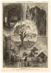 Image ID 835058