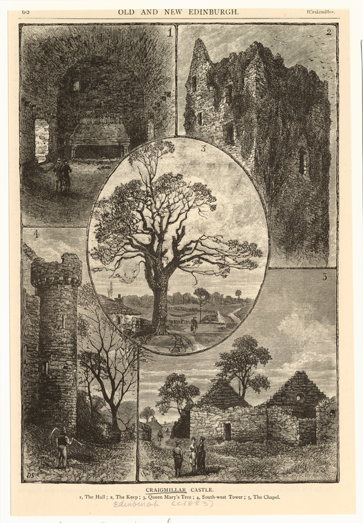 Image ID 835058
