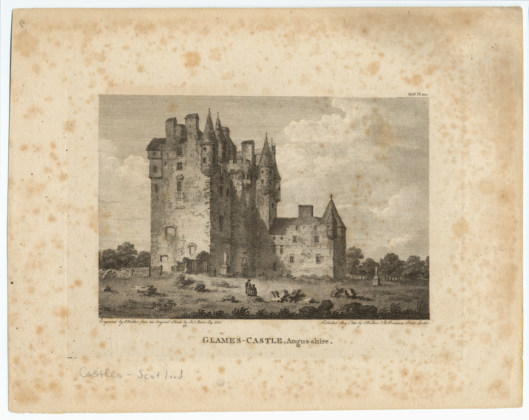 Image ID 835060
