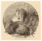 Image ID 835061