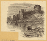 Image ID 835076