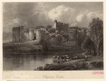 Image ID 835082