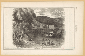 Image ID 835657