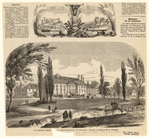 Image ID 835687