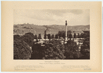 Image ID 835807
