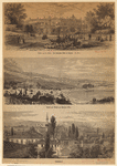 Image ID 835865