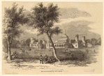 Image ID 835867
