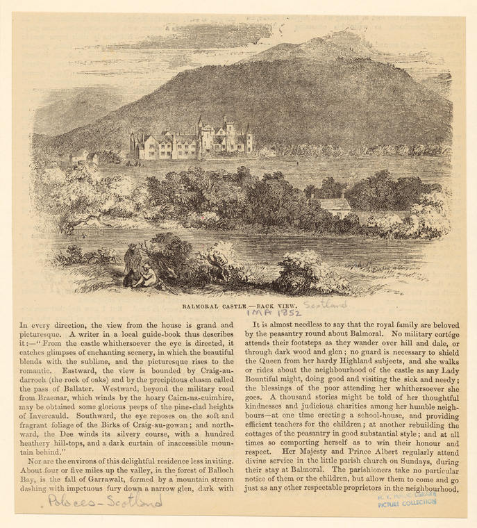 Image ID 835890
