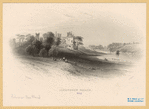 Image ID 835892