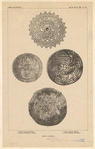 Image ID 835938