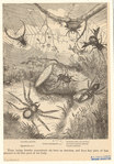 Image ID 835941