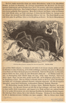 Image ID 835943
