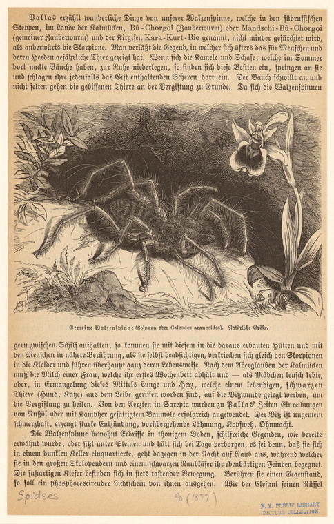 Image ID 835943
