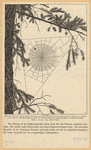 Image ID 835945