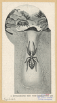 Image ID 835946