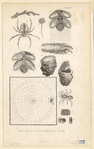 Image ID 835947