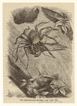 Image ID 835951