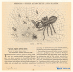 Image ID 835952
