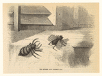 Image ID 835953