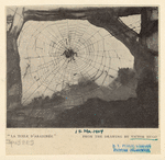 Image ID 835954