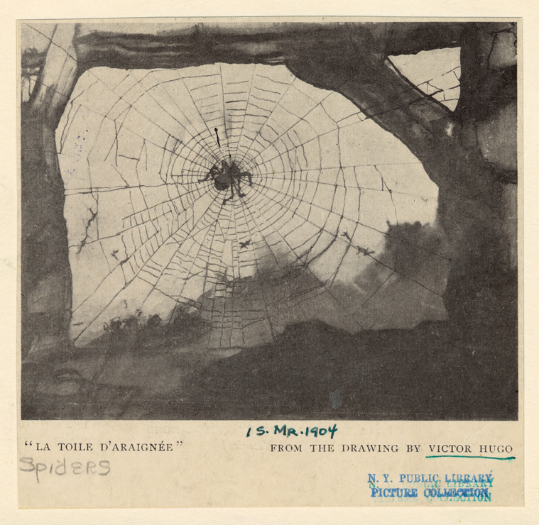 Image ID 835954
