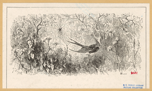 Image ID 835957