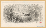 Image ID 835957