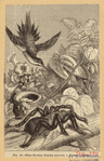 Image ID 835959