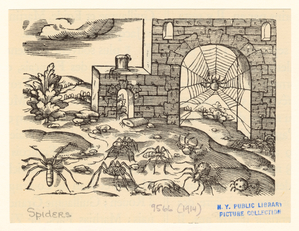 Image ID 835961