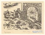 Image ID 835961