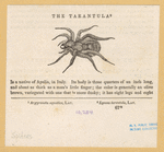 Image ID 835967