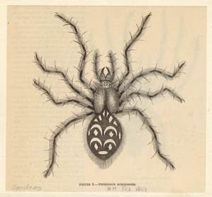 Image ID 835969