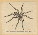 Image ID 835971