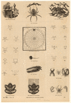 Image ID 835974