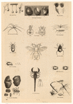 Image ID 835975