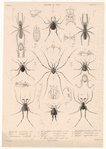 Image ID 835978