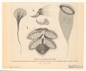 Image ID 835980