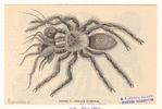 Image ID 835981