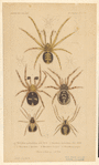 Image ID 835983