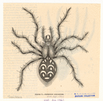 Image ID 835984